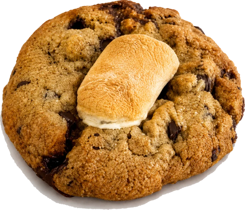 Salted caramel milk chocolate s'mores cookie